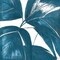 La Palmera in Turquoise I by Patricia Pinto - Item # VARPDX5641A